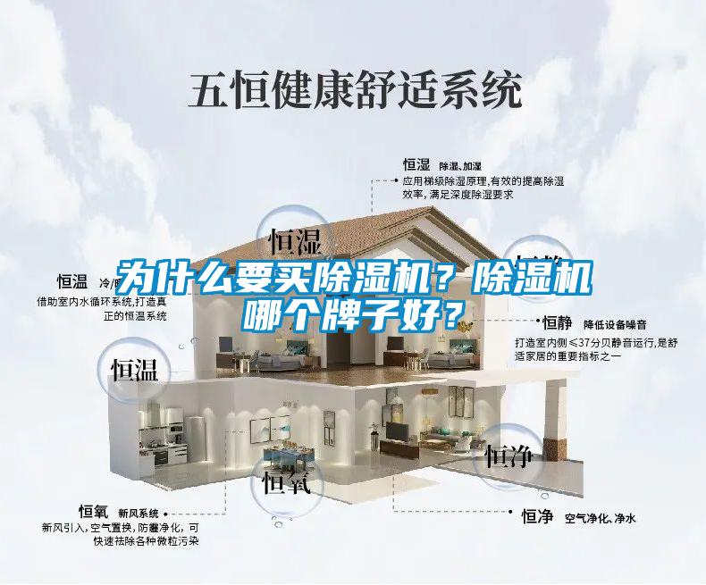 為什么要買除濕機(jī)？除濕機(jī)哪個(gè)牌子好？