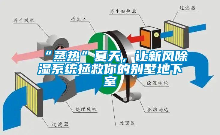 “蒸熱”夏天，讓新風(fēng)除濕系統(tǒng)拯救你的別墅地下室