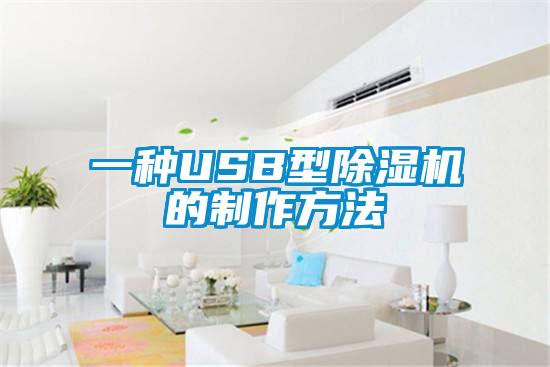 一種USB型除濕機的制作方法