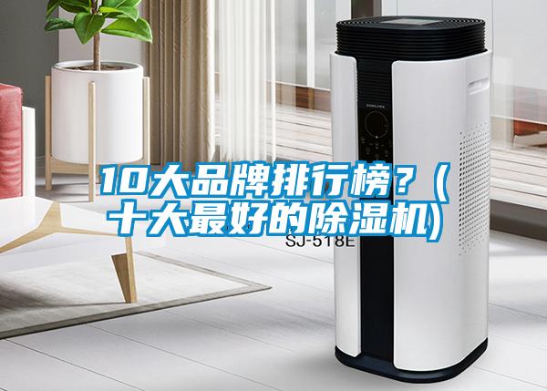 10大品牌排行榜？(十大最好的除濕機(jī))