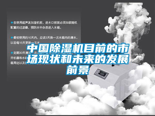 中國除濕機目前的市場現狀和未來的發展前景