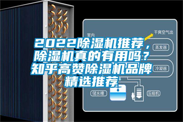 2022除濕機推薦，除濕機真的有用嗎？知乎高贊除濕機品牌精選推薦