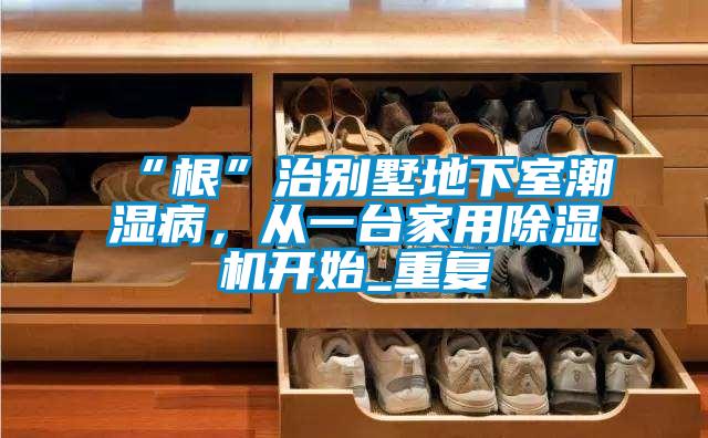 “根”治別墅地下室潮濕病，從一臺家用除濕機開始_重復