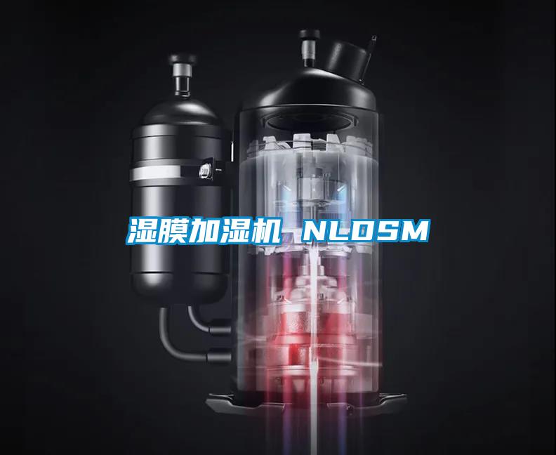 濕膜加濕機(jī) NLDSM