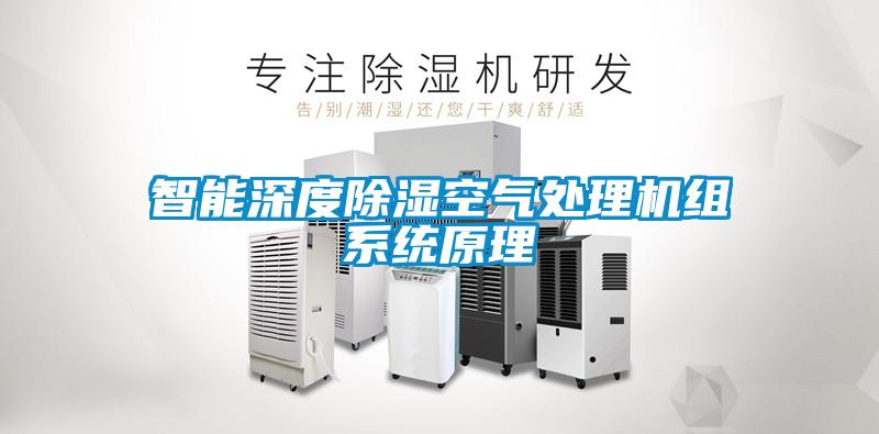 智能深度除濕空氣處理機組系統原理