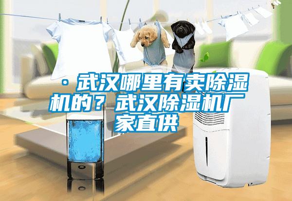 ·武漢哪里有賣除濕機(jī)的？武漢除濕機(jī)廠家直供
