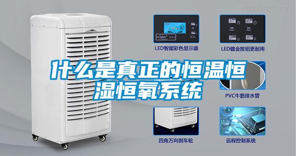 什么是真正的恒溫恒濕恒氧系統