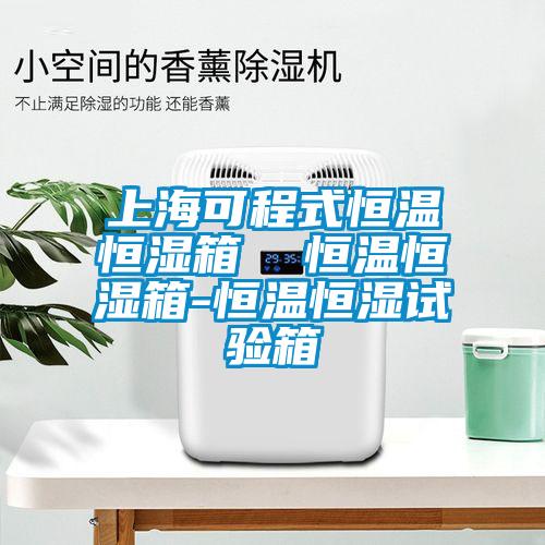 上海可程式恒溫恒濕箱  恒溫恒濕箱-恒溫恒濕試驗箱