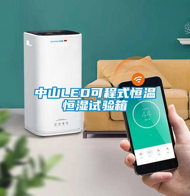 中山LED可程式恒溫恒濕試驗箱