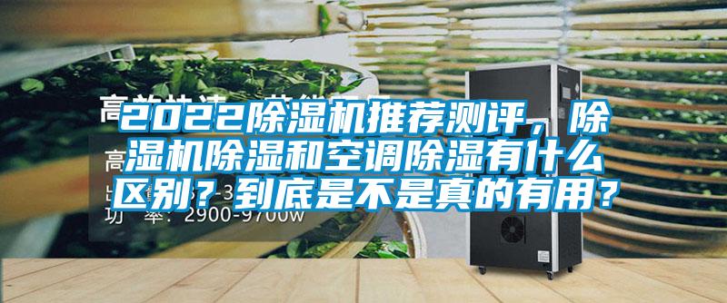 2022除濕機推薦測評，除濕機除濕和空調除濕有什么區別？到底是不是真的有用？