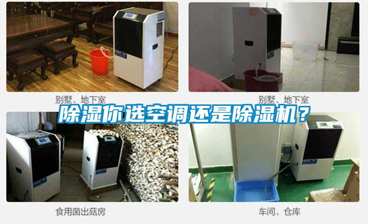 除濕你選空調還是除濕機？