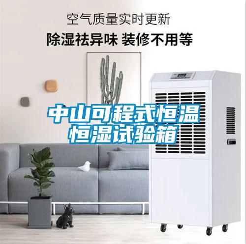 中山可程式恒溫恒濕試驗箱