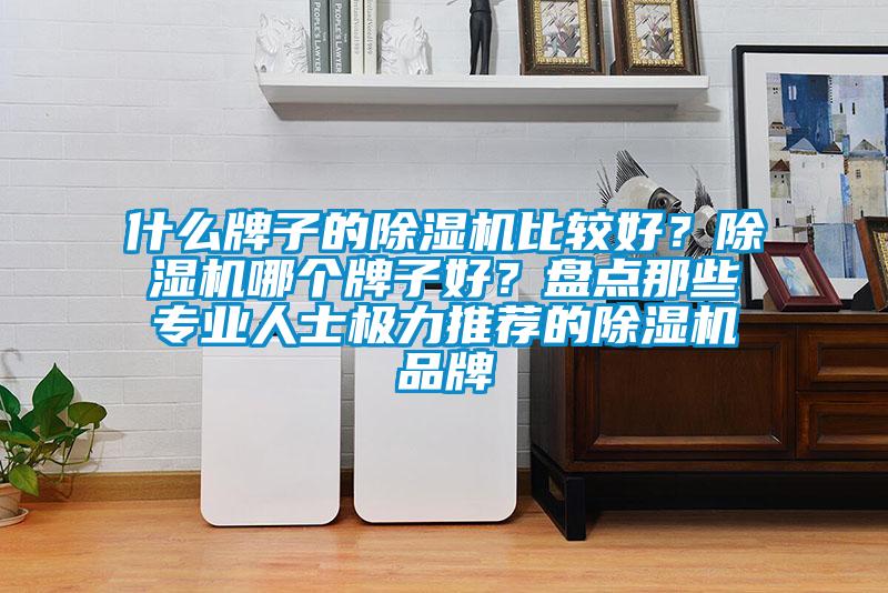 什么牌子的除濕機比較好？除濕機哪個牌子好？盤點那些專業(yè)人士極力推薦的除濕機品牌