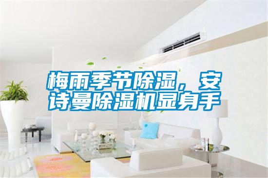 梅雨季節(jié)除濕，安詩曼除濕機顯身手