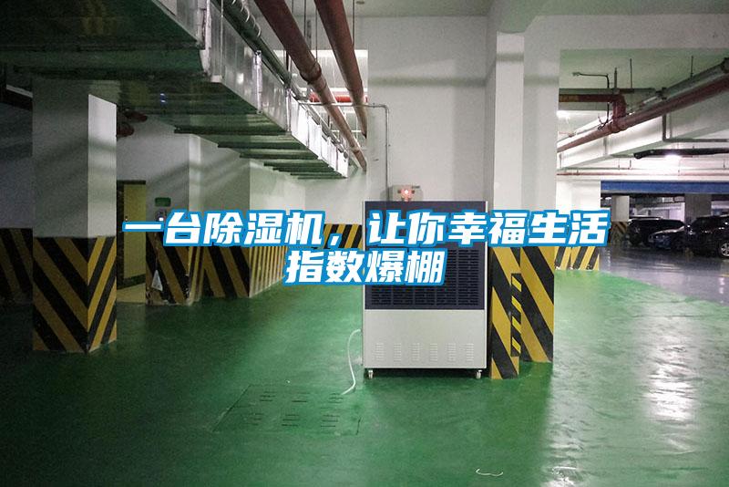 一臺除濕機，讓你幸福生活指數爆棚