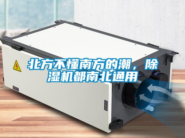 北方不懂南方的潮，除濕機都南北通用