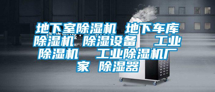 地下室除濕機 地下車庫除濕機 除濕設備  工業(yè)除濕機  工業(yè)除濕機廠家 除濕器