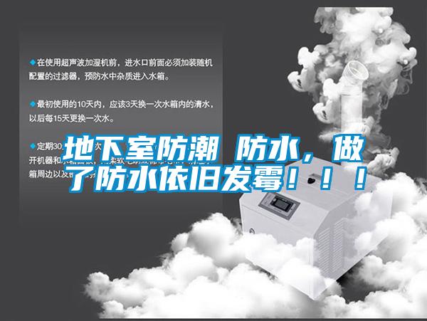 地下室防潮≠防水，做了防水依舊發霉?。?！