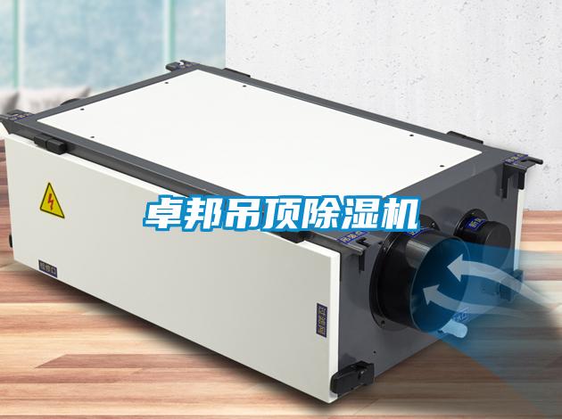 卓邦吊頂除濕機
