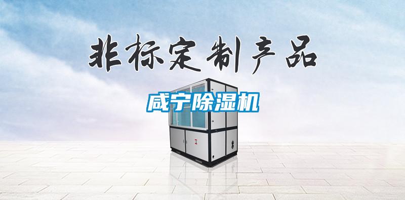 咸寧除濕機