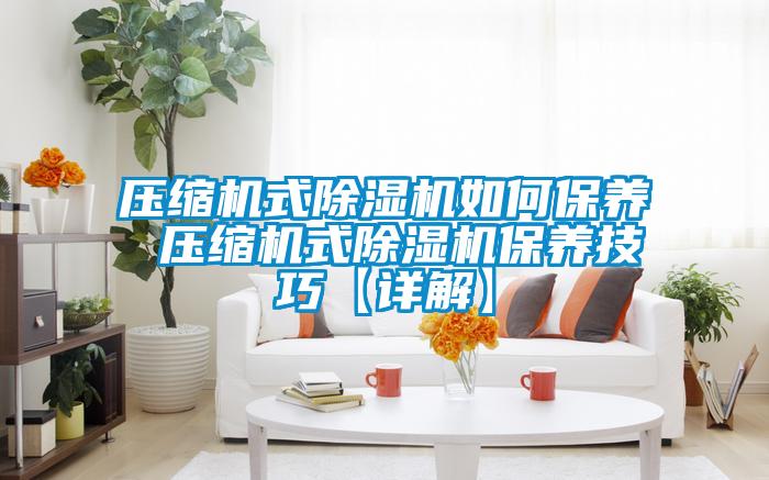 壓縮機式除濕機如何保養(yǎng) 壓縮機式除濕機保養(yǎng)技巧【詳解】