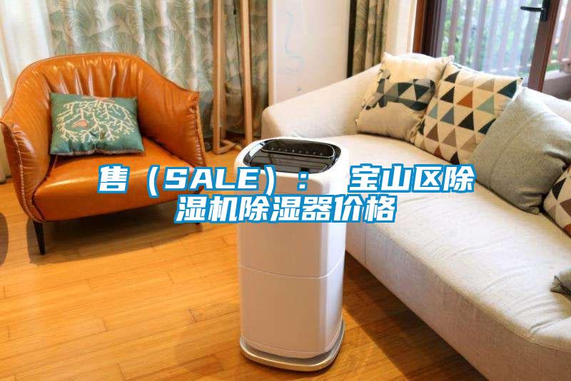 售（SALE）： 寶山區(qū)除濕機(jī)除濕器價(jià)格