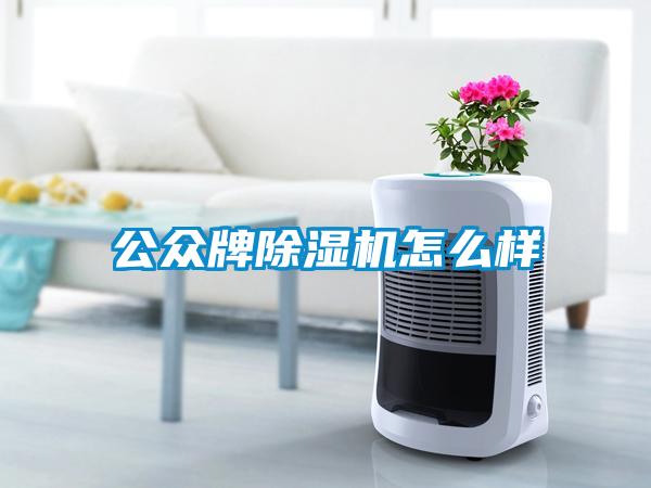 公眾牌除濕機怎么樣