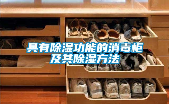 具有除濕功能的消毒柜及其除濕方法