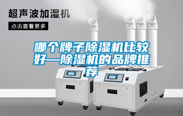 哪個牌子除濕機比較好—除濕機的品牌推薦