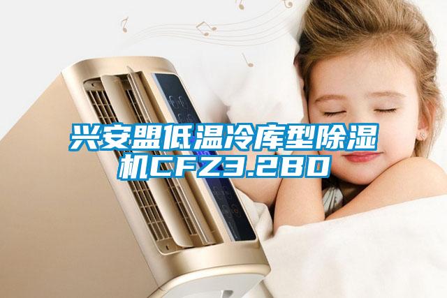 興安盟低溫冷庫型除濕機CFZ3.2BD