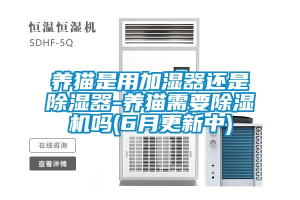 養貓是用加濕器還是除濕器-養貓需要除濕機嗎(6月更新中)