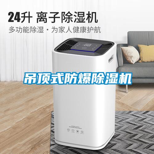 吊頂式防爆除濕機(jī)