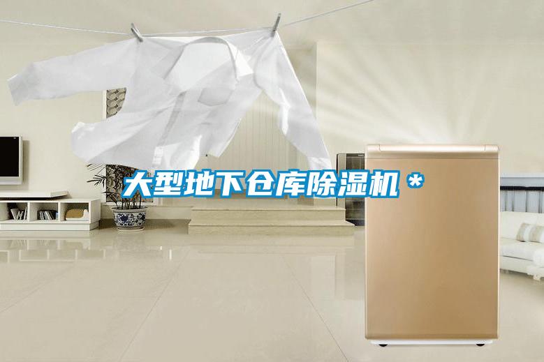 大型地下倉(cāng)庫(kù)除濕機(jī)＊