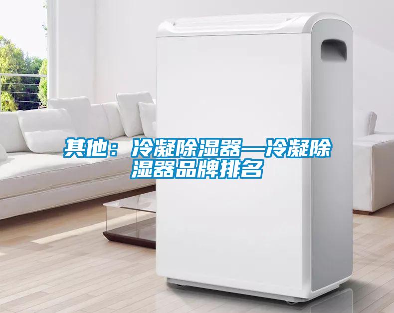 其他：冷凝除濕器—冷凝除濕器品牌排名