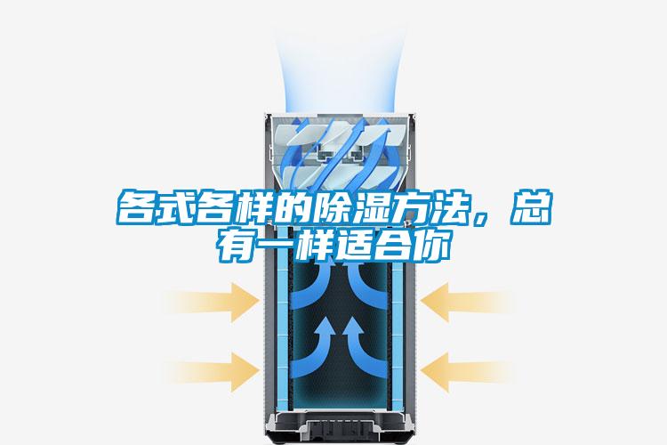 各式各樣的除濕方法，總有一樣適合你