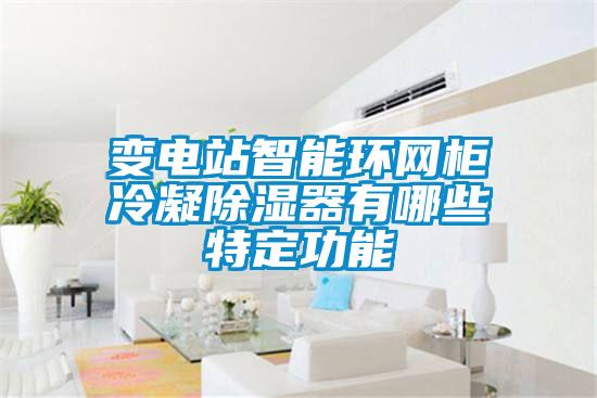 變電站智能環網柜冷凝除濕器有哪些特定功能