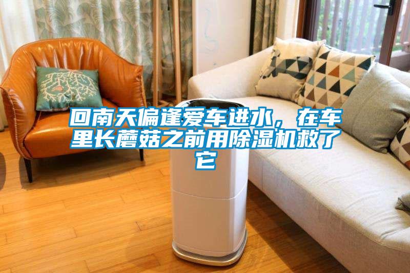 回南天偏逢愛車進水，在車里長蘑菇之前用除濕機救了它