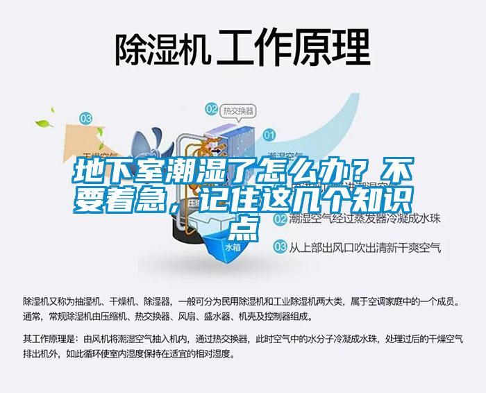 地下室潮濕了怎么辦？不要著急，記住這幾個(gè)知識(shí)點(diǎn)