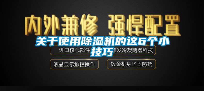 關于使用除濕機的這6個小技巧