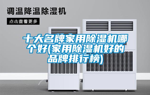 十大名牌家用除濕機哪個好(家用除濕機好的品牌排行榜)