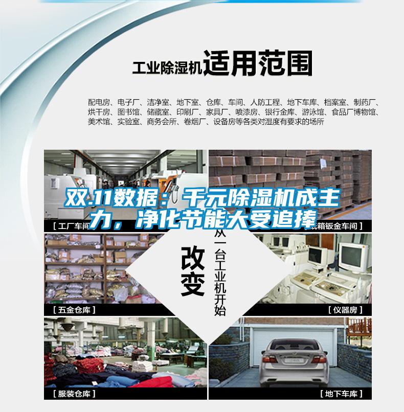 雙.11數(shù)據(jù)：千元除濕機成主力，凈化節(jié)能大受追捧