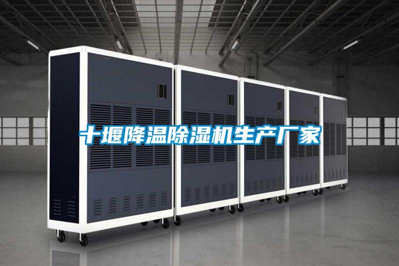 十堰降溫除濕機生產(chǎn)廠家