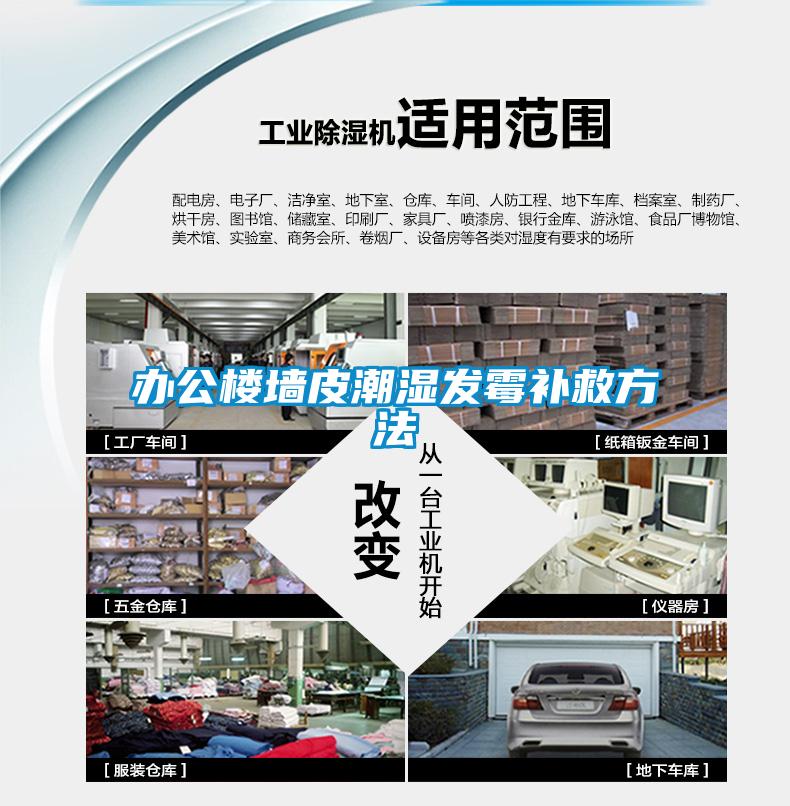 辦公樓墻皮潮濕發霉補救方法