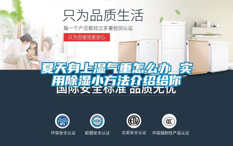夏天身上濕氣重怎么辦 實用除濕小方法介紹給你