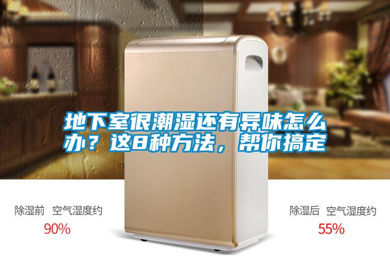 地下室很潮濕還有異味怎么辦？這8種方法，幫你搞定