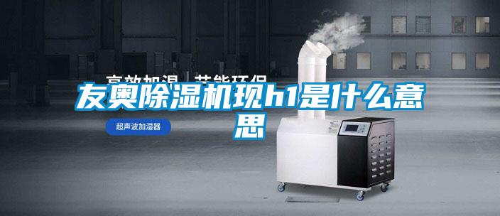友奧除濕機現(xiàn)h1是什么意思