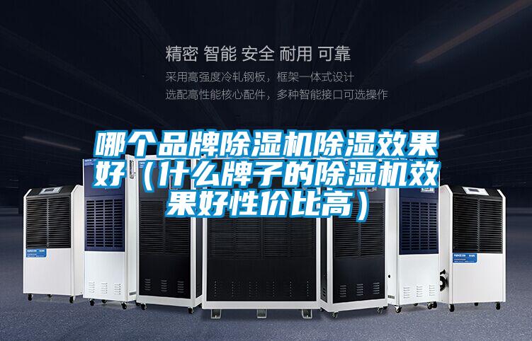 哪個(gè)品牌除濕機(jī)除濕效果好（什么牌子的除濕機(jī)效果好性價(jià)比高）