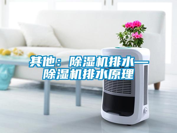 其他：除濕機排水—除濕機排水原理