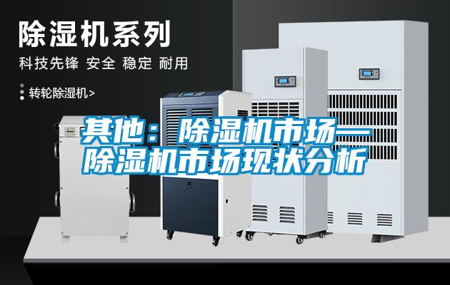 其他：除濕機市場—除濕機市場現狀分析