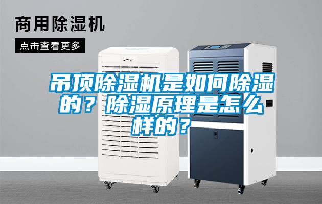 吊頂除濕機(jī)是如何除濕的？除濕原理是怎么樣的？